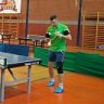 mihai stoica